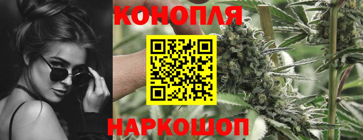 Конопля планчик Лангепас